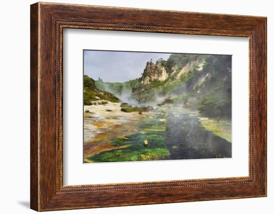 Hot Springs, Waimangu Volcanic Valley, Rotorua, Bay of Plenty, North Island, New Zealand-Rainer Mirau-Framed Photographic Print