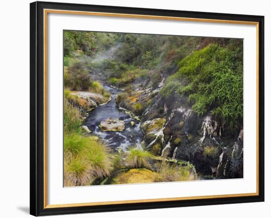 Hot Springs, Waimangu Volcanic Valley, Rotorua, Bay of Plenty, North Island, New Zealand-Rainer Mirau-Framed Photographic Print