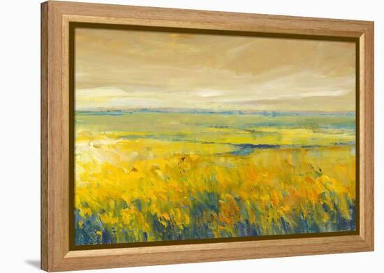 Hot Summer Day I-Tim O'toole-Framed Stretched Canvas