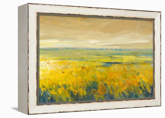 Hot Summer Day I-Tim O'toole-Framed Stretched Canvas