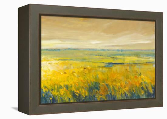 Hot Summer Day I-Tim O'toole-Framed Stretched Canvas