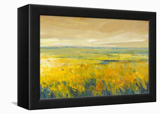 Hot Summer Day I-Tim O'toole-Framed Stretched Canvas