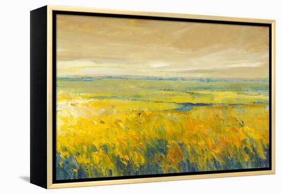 Hot Summer Day I-Tim O'toole-Framed Stretched Canvas