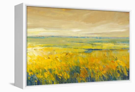 Hot Summer Day I-Tim O'toole-Framed Stretched Canvas