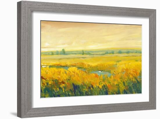 Hot Summer Day II-Tim O'toole-Framed Premium Giclee Print