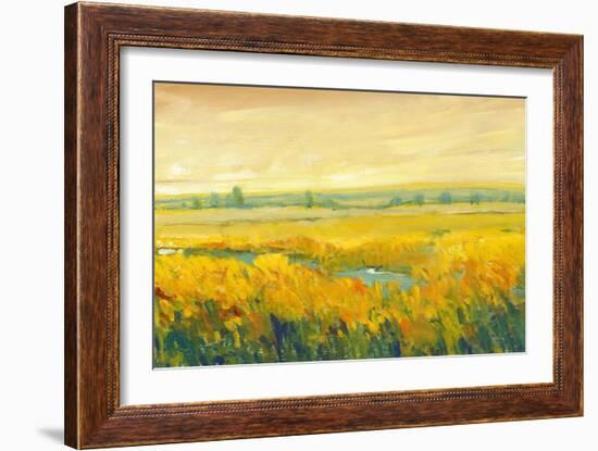 Hot Summer Day II-Tim O'toole-Framed Premium Giclee Print