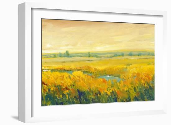 Hot Summer Day II-Tim O'toole-Framed Premium Giclee Print