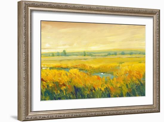 Hot Summer Day II-Tim O'toole-Framed Art Print