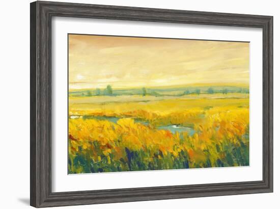 Hot Summer Day II-Tim O'toole-Framed Art Print