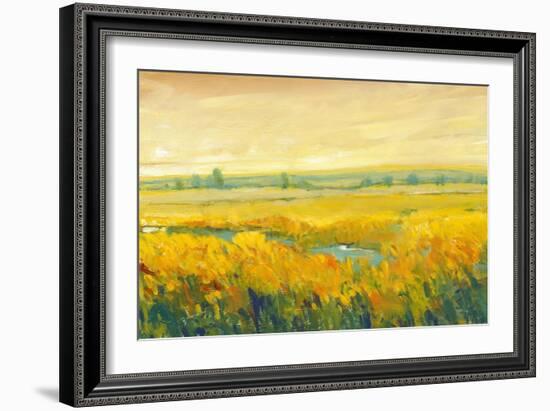 Hot Summer Day II-Tim O'toole-Framed Art Print