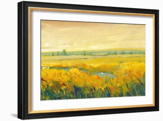 Hot Summer Day II-Tim O'toole-Framed Art Print