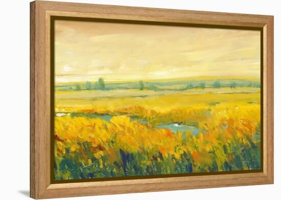 Hot Summer Day II-Tim O'toole-Framed Stretched Canvas