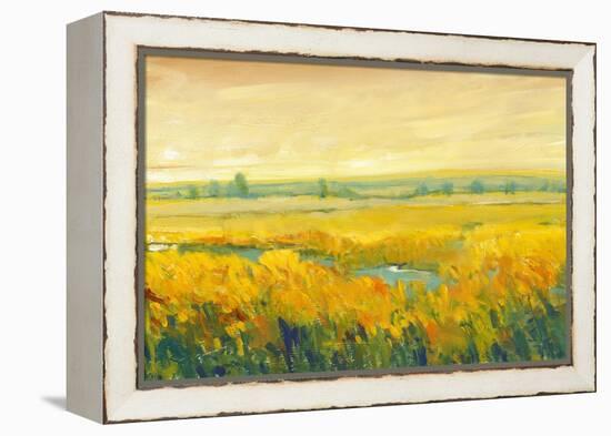 Hot Summer Day II-Tim O'toole-Framed Stretched Canvas