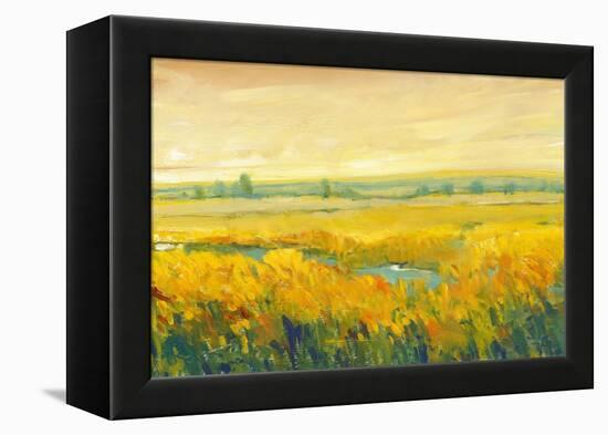 Hot Summer Day II-Tim O'toole-Framed Stretched Canvas