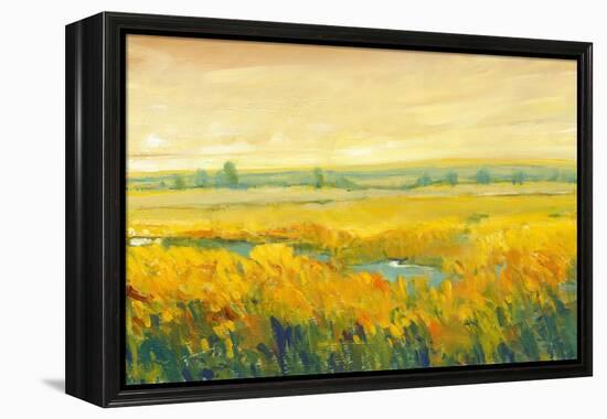 Hot Summer Day II-Tim O'toole-Framed Stretched Canvas
