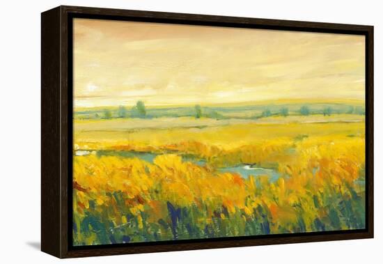 Hot Summer Day II-Tim O'toole-Framed Stretched Canvas