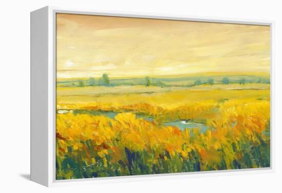 Hot Summer Day II-Tim O'toole-Framed Stretched Canvas