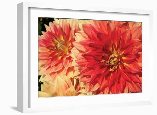 Hot Sun I-Maureen Love-Framed Premium Photographic Print