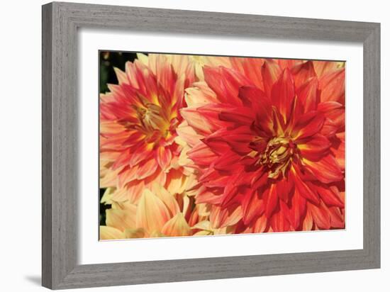 Hot Sun I-Maureen Love-Framed Photographic Print