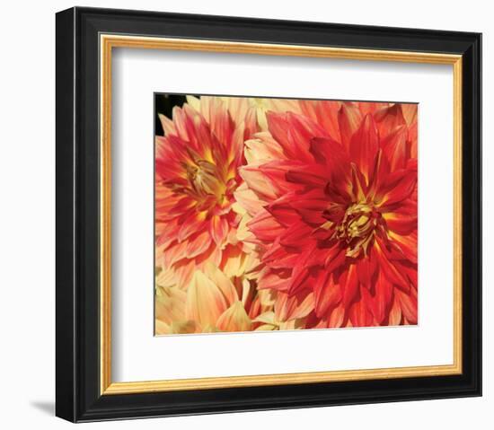 Hot Sun-Maureen Love-Framed Photo