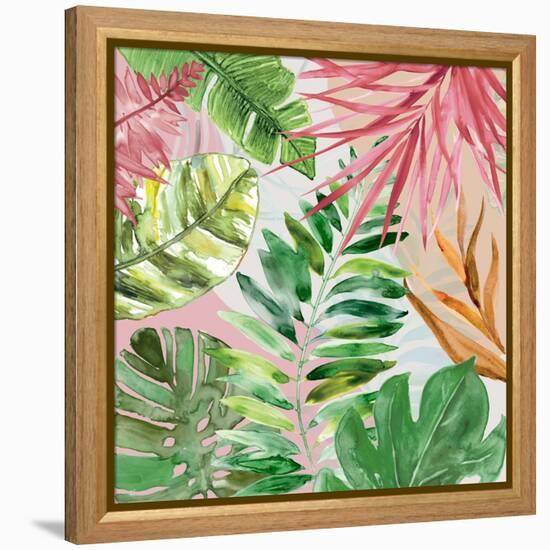 Hot Tropics II-Carol Robinson-Framed Stretched Canvas