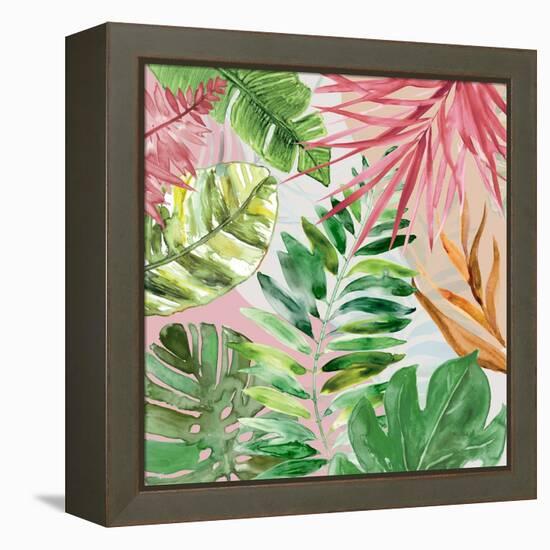 Hot Tropics II-Carol Robinson-Framed Stretched Canvas