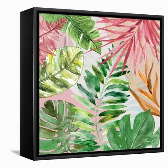 Hot Tropics II-Carol Robinson-Framed Stretched Canvas