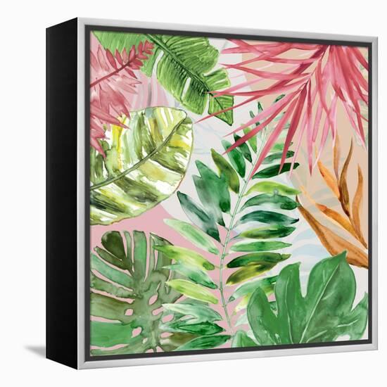 Hot Tropics II-Carol Robinson-Framed Stretched Canvas