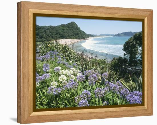 Hot Water Beach, Coromandel Peninsula, South Auckland, North Island, New Zealand-Ken Gillham-Framed Premier Image Canvas