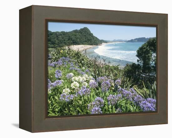 Hot Water Beach, Coromandel Peninsula, South Auckland, North Island, New Zealand-Ken Gillham-Framed Premier Image Canvas