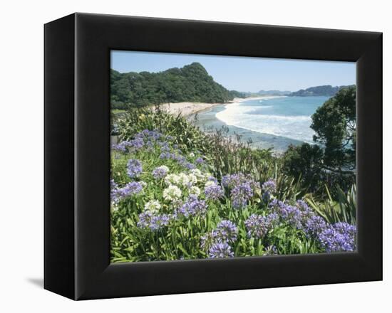 Hot Water Beach, Coromandel Peninsula, South Auckland, North Island, New Zealand-Ken Gillham-Framed Premier Image Canvas