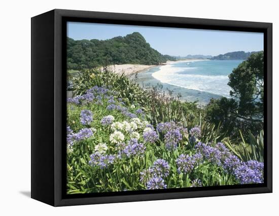 Hot Water Beach, Coromandel Peninsula, South Auckland, North Island, New Zealand-Ken Gillham-Framed Premier Image Canvas