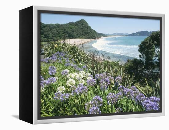 Hot Water Beach, Coromandel Peninsula, South Auckland, North Island, New Zealand-Ken Gillham-Framed Premier Image Canvas