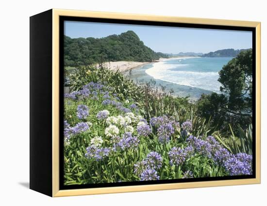 Hot Water Beach, Coromandel Peninsula, South Auckland, North Island, New Zealand-Ken Gillham-Framed Premier Image Canvas