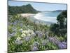 Hot Water Beach, Coromandel Peninsula, South Auckland, North Island, New Zealand-Ken Gillham-Mounted Photographic Print