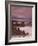 Hotel at the Lakeside, Llao Llao Hotel, Lake Nahuel Huapi, San Carlos De Bariloche-null-Framed Photographic Print