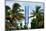 Hotel Breakwater Sign - South Beach Miami - Florida-Philippe Hugonnard-Mounted Photographic Print