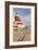 Hotel del Coronado, San Diego, California-null-Framed Art Print