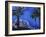 Hotel Finisterra, Cabo San Lucas, Baja California Sur, Mexico-Walter Bibikow-Framed Photographic Print