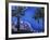 Hotel Finisterra, Cabo San Lucas, Baja California Sur, Mexico-Walter Bibikow-Framed Photographic Print