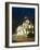 Hotel Negresco, Nice, Provence, French Riviera, France-Angelo Cavalli-Framed Photographic Print