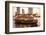 Hotel shuttle boat on the Chao Phraya River outside the Mandarin Oriental, Bangkok, Thailand-Jon Arnold-Framed Photographic Print