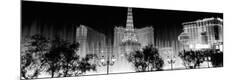 Photographic Print