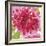 Hothouse Brights II-Sandra Jacobs-Framed Giclee Print