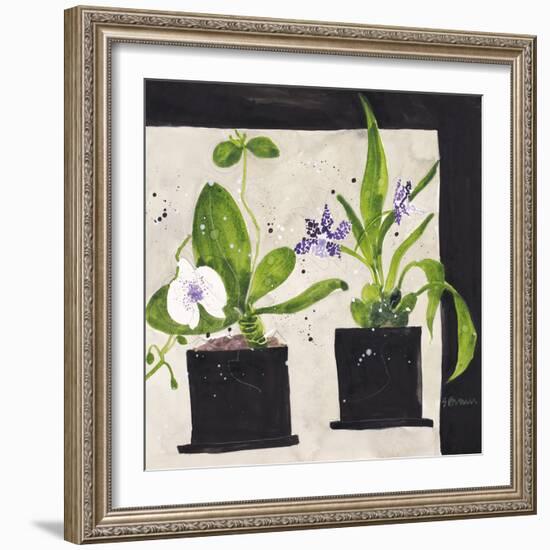 Hothouse Orchids I-Susan Brown-Framed Giclee Print