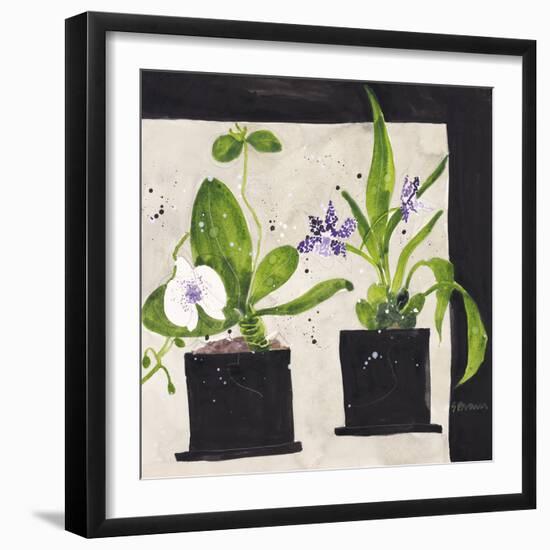 Hothouse Orchids I-Susan Brown-Framed Giclee Print