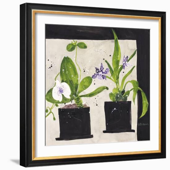 Hothouse Orchids I-Susan Brown-Framed Giclee Print