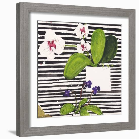 Hothouse Orchids II-Susan Brown-Framed Giclee Print