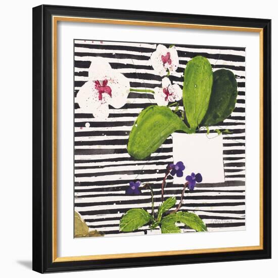 Hothouse Orchids II-Susan Brown-Framed Giclee Print