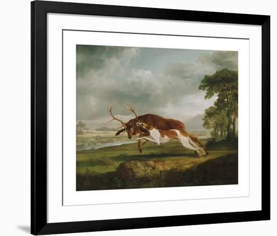 Hound Coursing a Stag-George Stubbs-Framed Premium Giclee Print